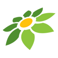 LINK POLASLOT